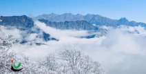 雪霏霏写真,冬日里的清新女神